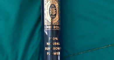 maui pineapple preroll by the bohemian chemist preroll review by caleb chen