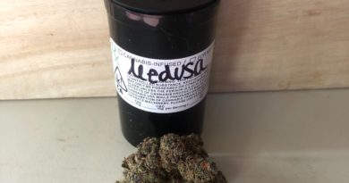 medusa from hyfe strain review by caleb chen