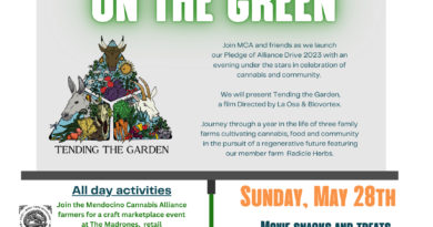 mendocino cannabis alliance pledge of alliance drive 2023