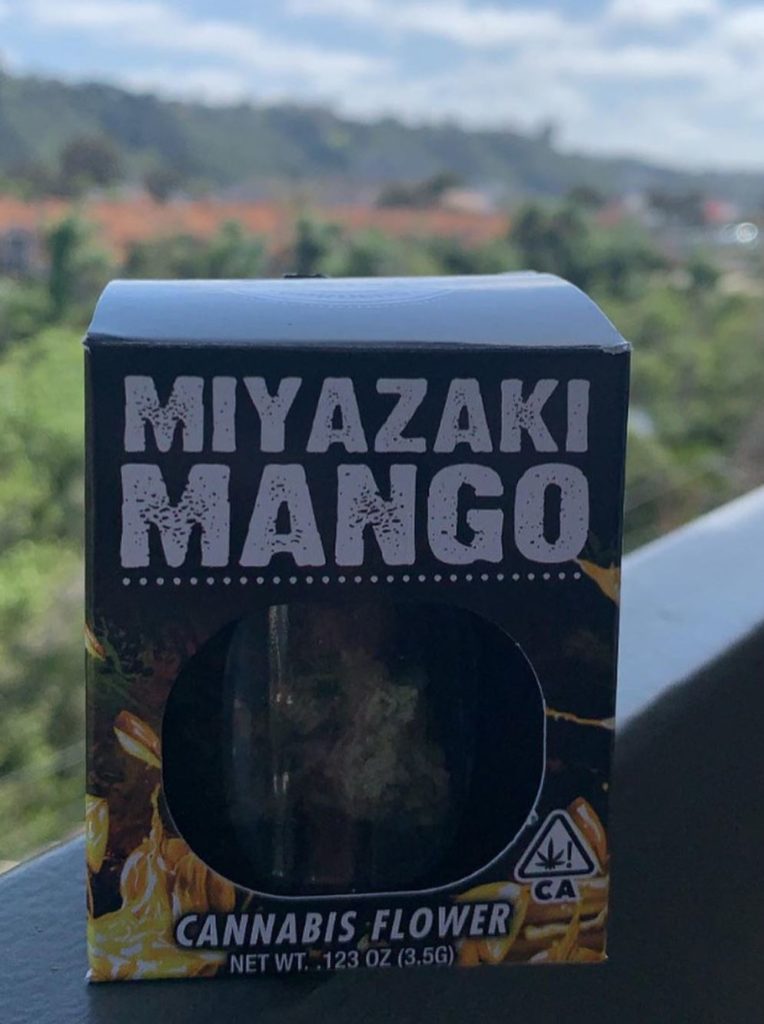 miyazaki mango by decibel gardens strain review by phenoreviews 2