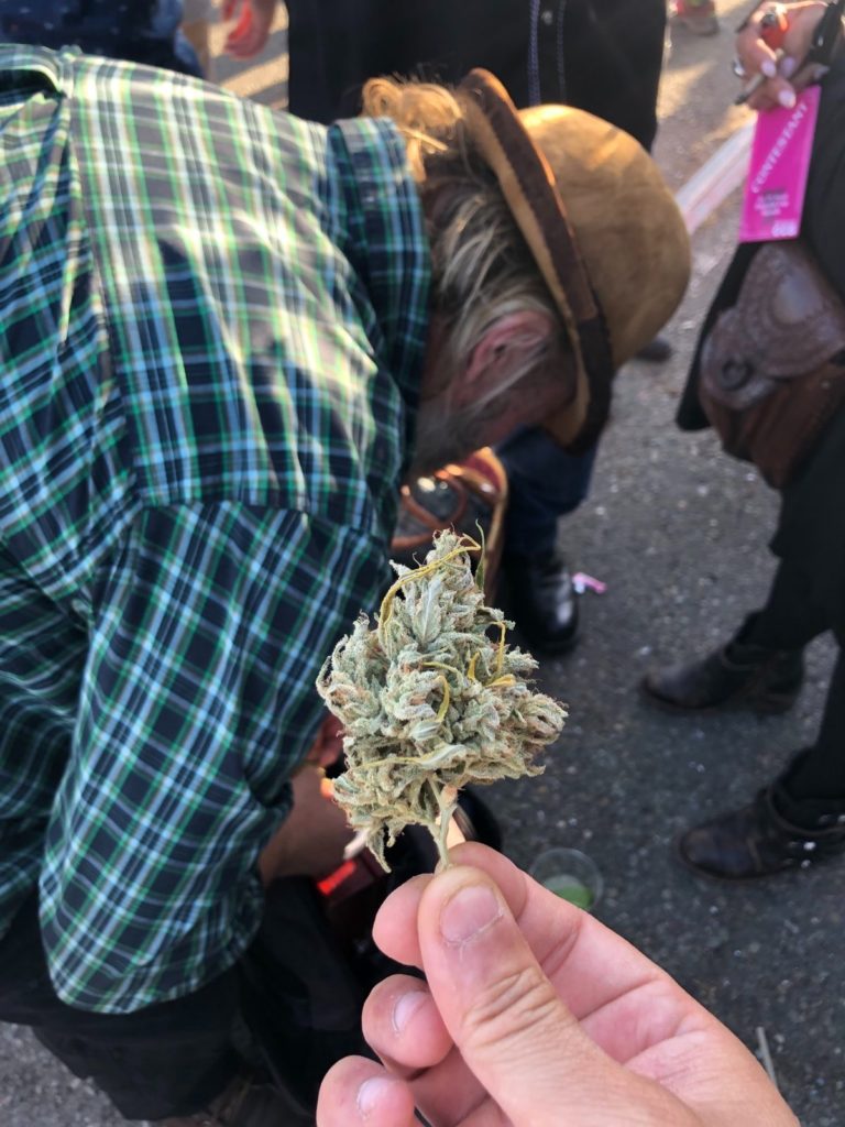 mountain cultured farmer nate and one of his nugs