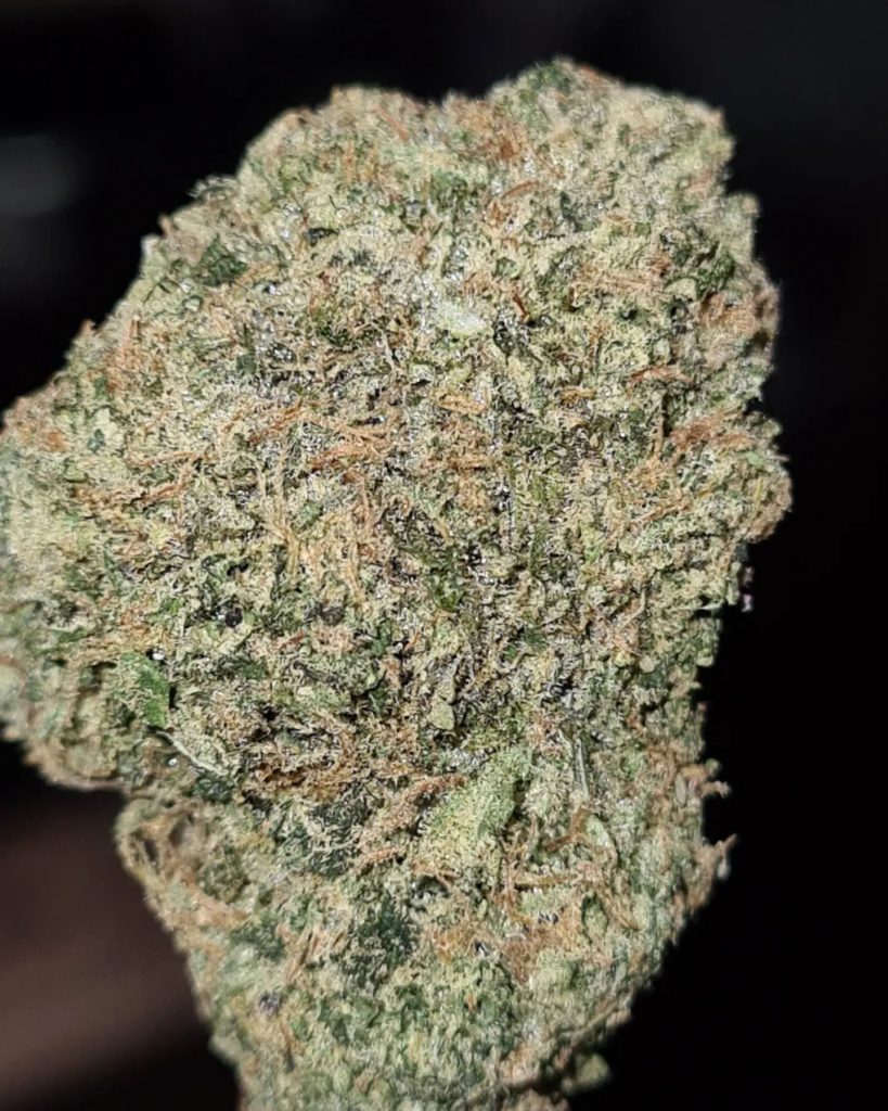 ozk by terphogz strain review by cannoisseurselections 2