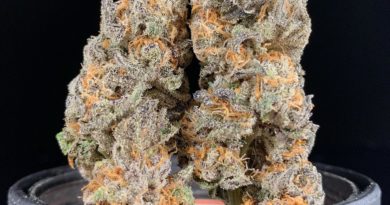 peanut brittle by three flavors farms strain review by pnw.chronic 2