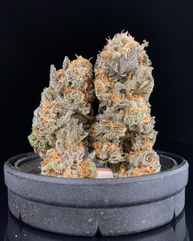 peanut brittle by three flavors farms strain review by pnw.chronic 2