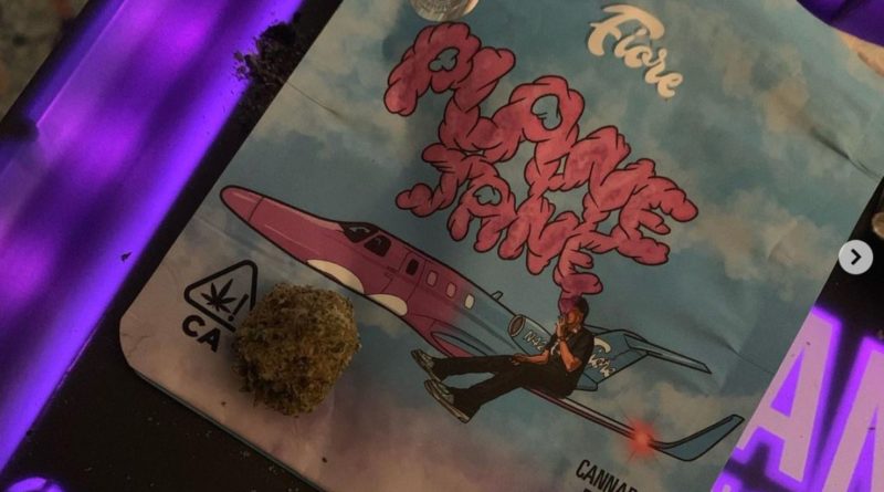 plane jane by fiore strain review by thecannaisseurking