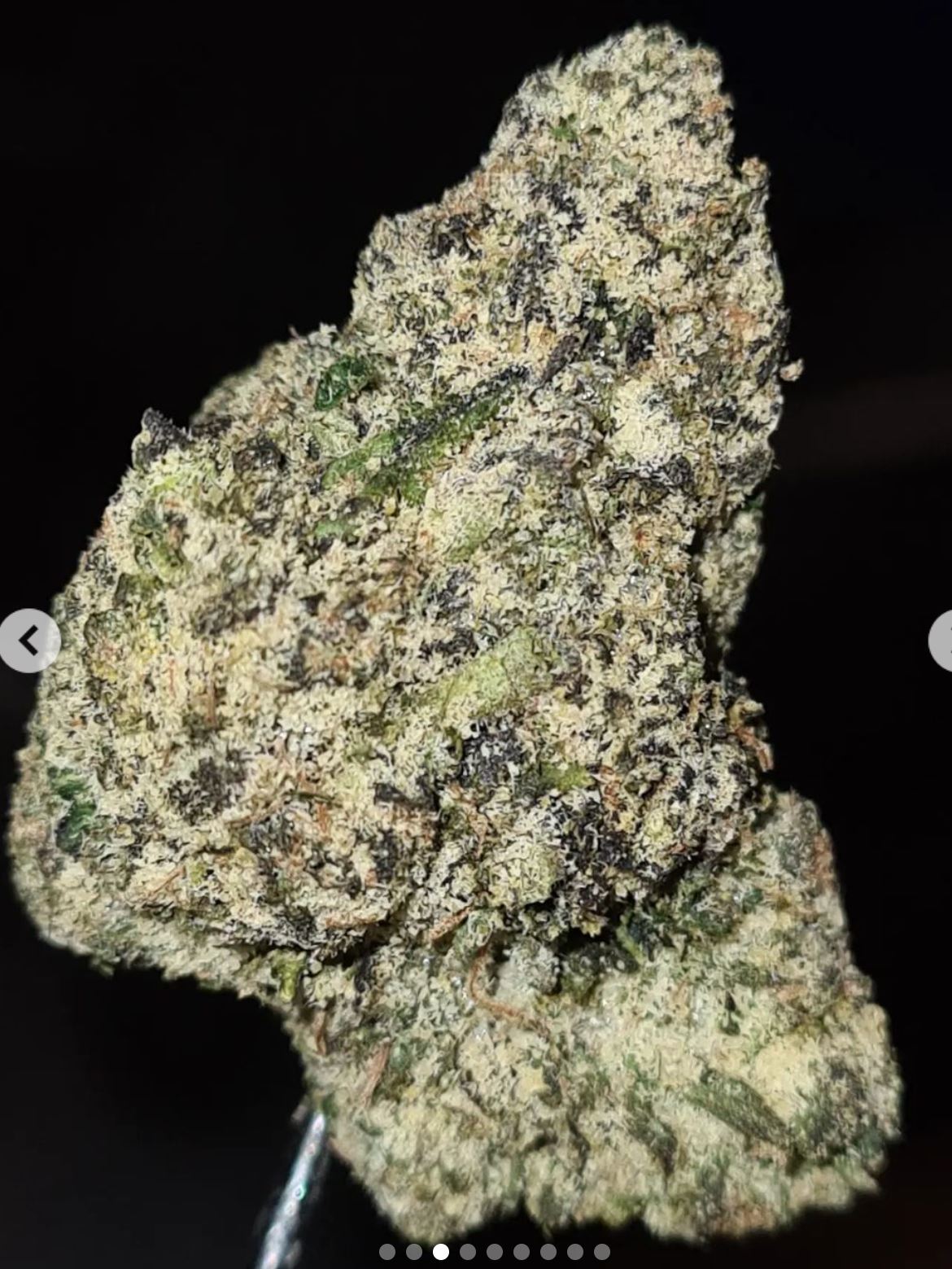 press play by scum bagz strain review by cannoisseurselections 2
