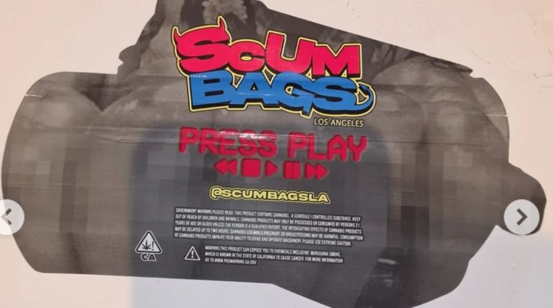 press play by scum bagz strain review by cannoisseurselections