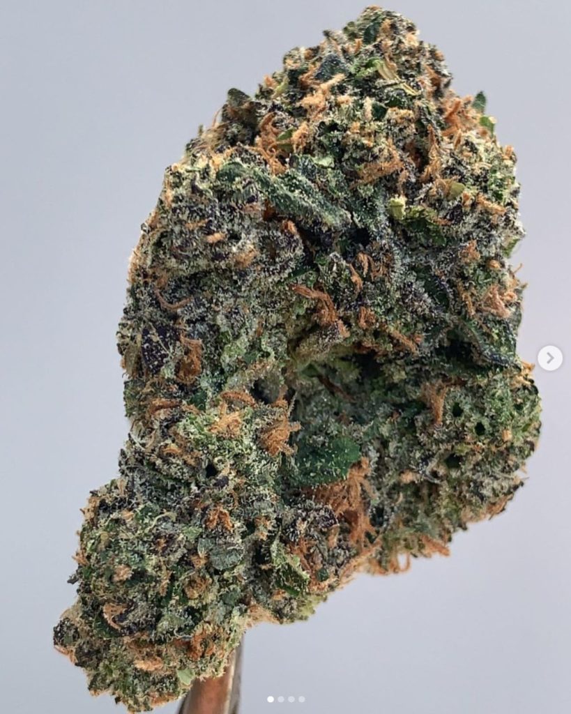 purple dinosaur by blueprint strain review by wl_official619