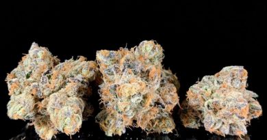 rainbow snowman by luvli strain review by pnw.chronic 2