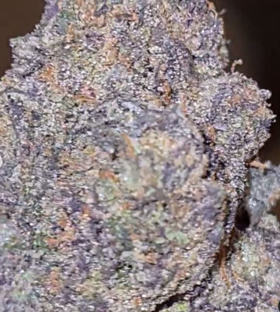 red velvet series by grandiflora genetics strain review by cannoisseurselections 3