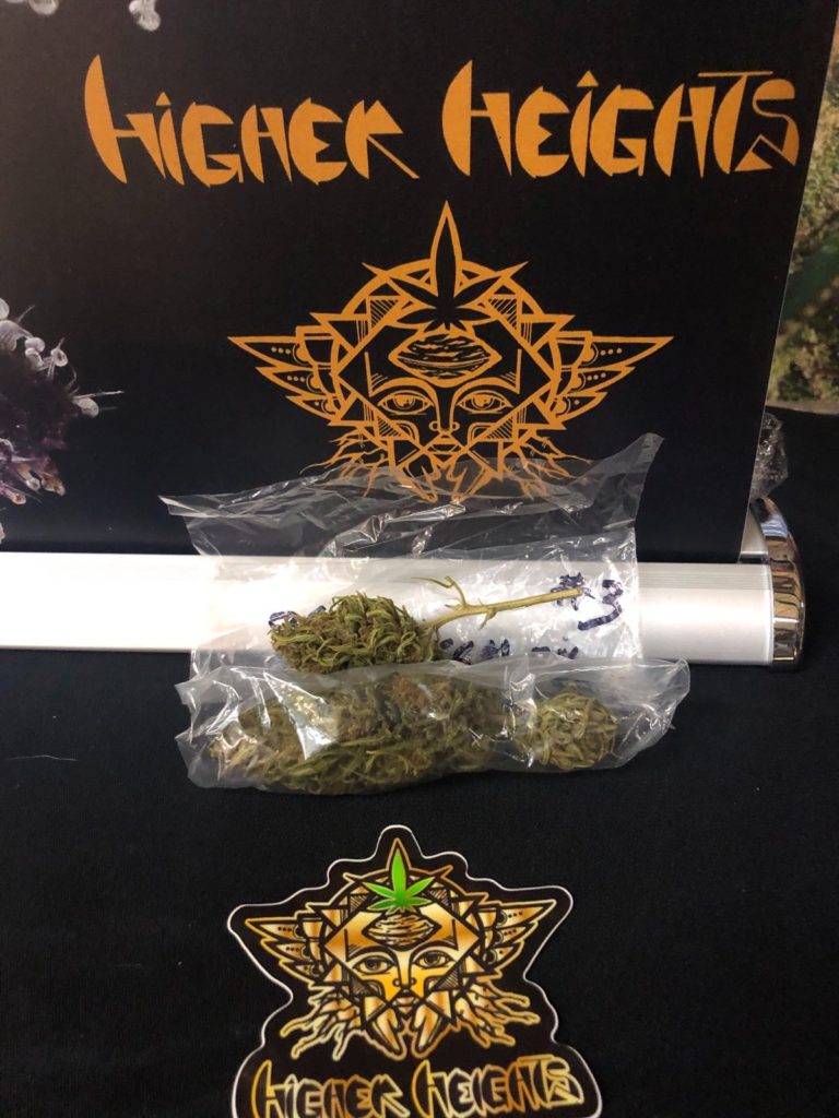 roberts creek congolese x super silver haze bx #2 by higher heights mendocino strain review by caleb chen