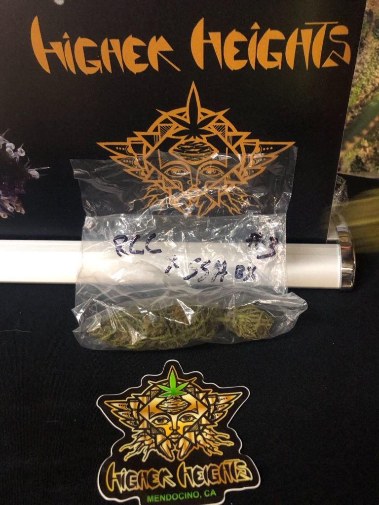 roberts creek congolese x super silver haze bx #3 by higher heights mendocino strain review by caleb chen
