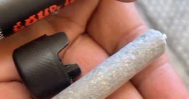 sour apple preroll by the most high review by letmeseewhatusmokin