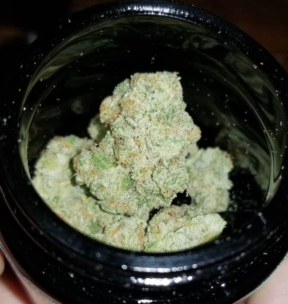 sour grape by moxie pa strain review by chauncey_thecannaseur