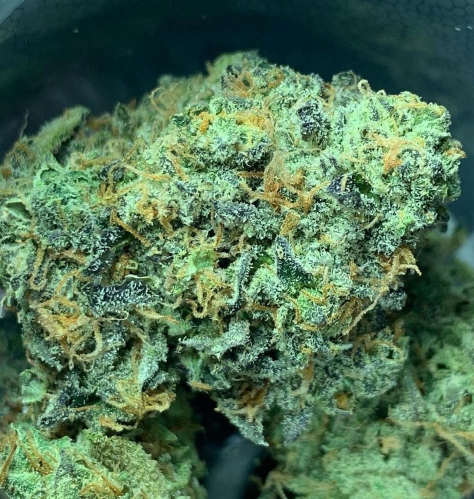 sour sage og by kush co strain review by og kush lover 2