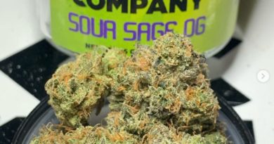 sour sage og by kush co strain review by og kush lover