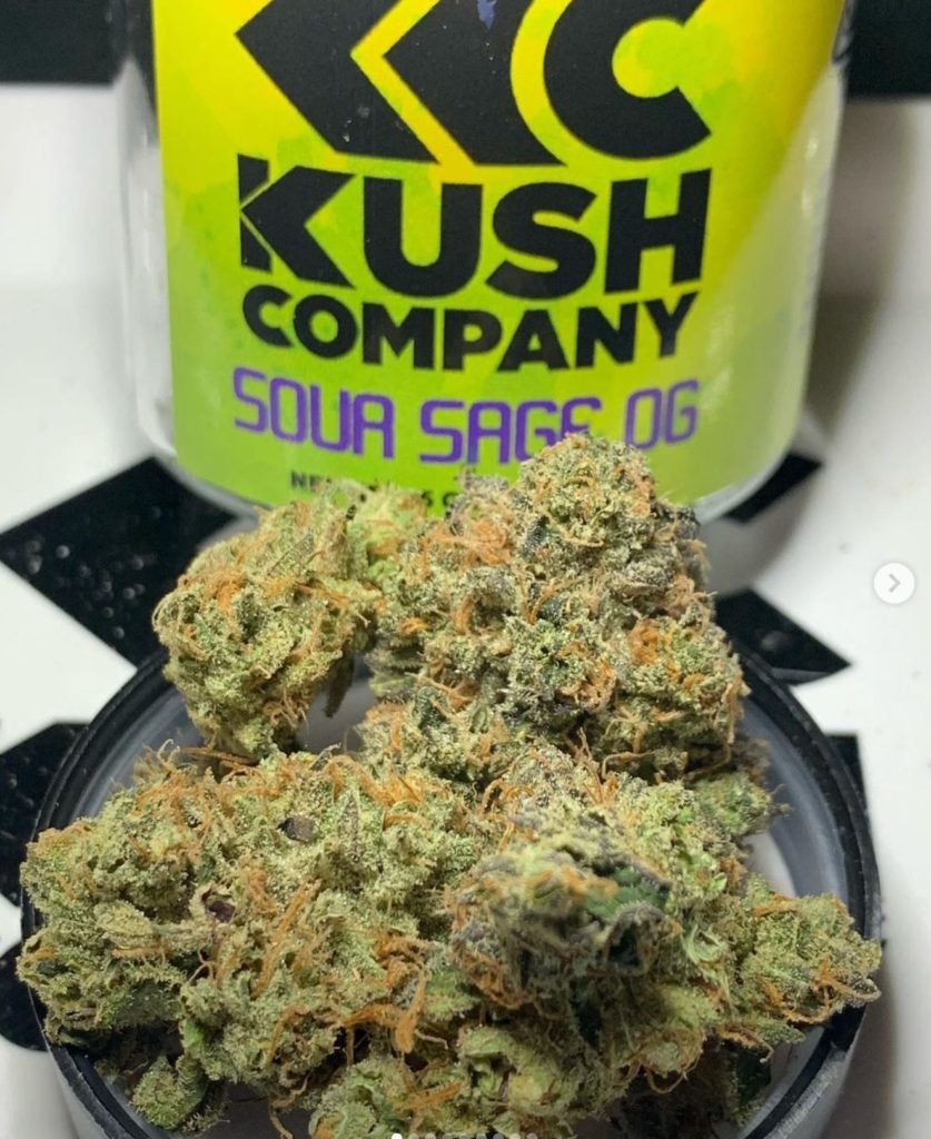 sour sage og by kush co strain review by og kush lover