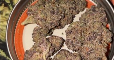 the keeper by loyalty7_icmag strain review by letmeseewhatusmokin