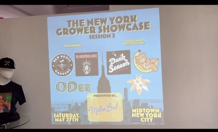 the new york growers cup showcase 2023 event recap by letmeseewhatusmokin