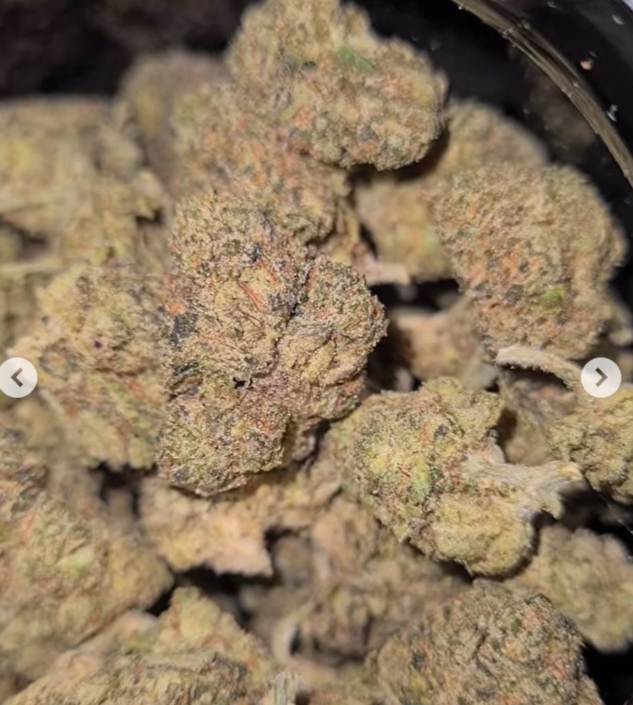 um zongo by world is yours exotics strain review by cannoisseurselections