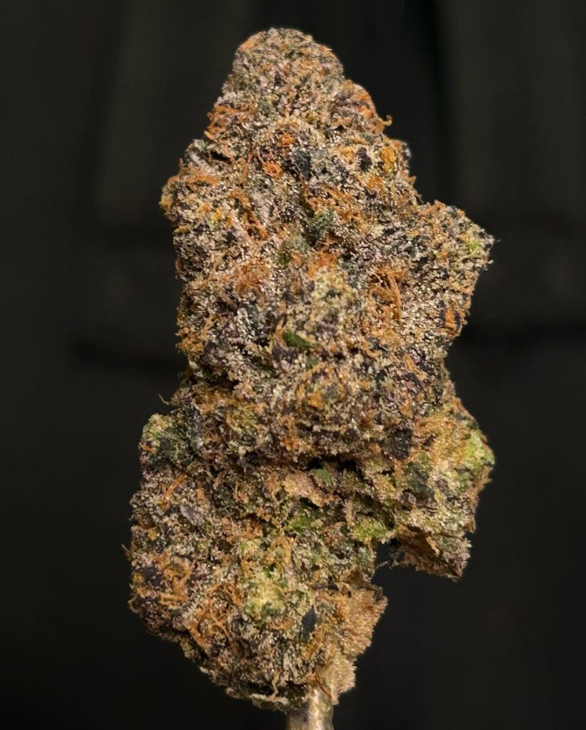 vida loca pheno2 by relentless melts strain review by cali_bud_reviews 2