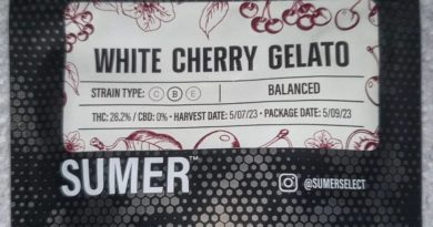 white cherry gelato by sumer strain review by henryyougotan8th 2