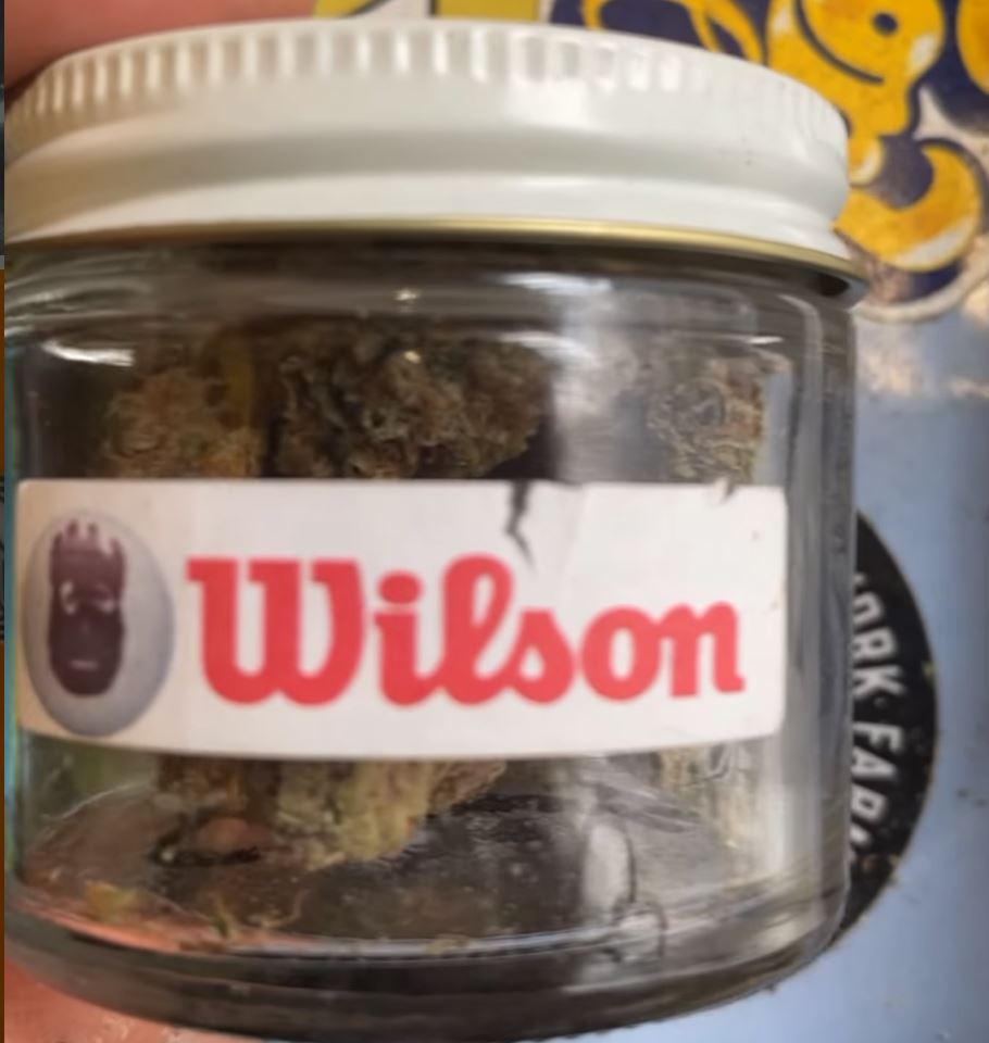 wilson by you know waz good strain review by letmeseewhatusmokin