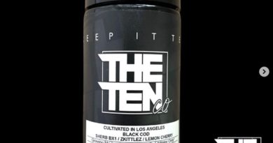 black cod by the tenco strain review by thethcspot