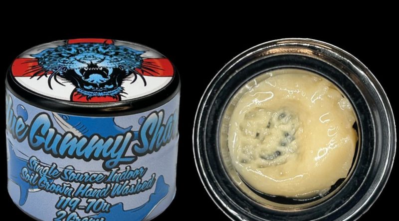 blue gummy shark live rosin by relentless melts hash review by cali_bud_reviews