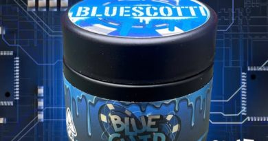 bluescotti by blue chip genetics strain review by thethcspot