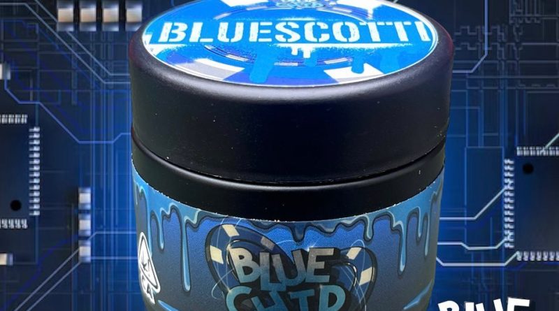 bluescotti by blue chip genetics strain review by thethcspot