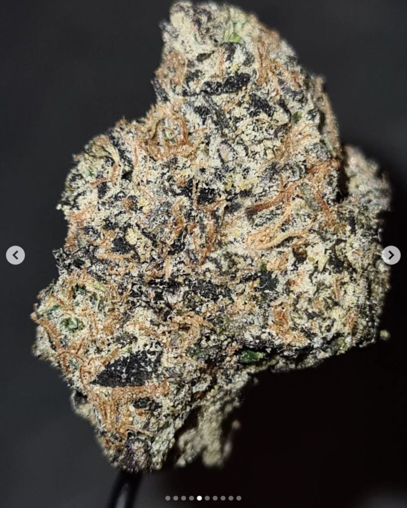 bubblegum by sticky icky strain review by cannoisseurselections 2