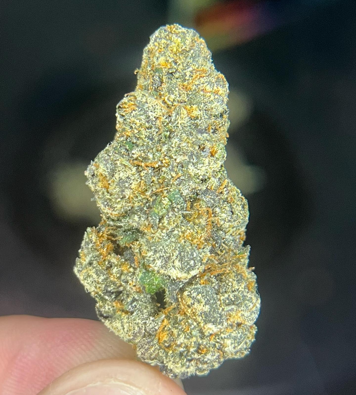 burnt rubber by skunkpackboyz strain review by averagejoeweedreviews 2