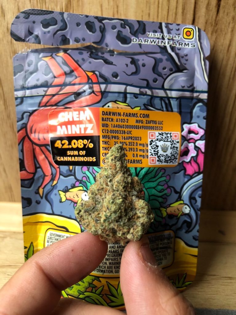 chem mintz by darwin farms strain review by caleb chen 2