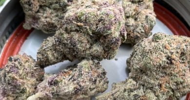 cherry breeze by in house genetics strain review by averagejoeweedreviewsnj (2)