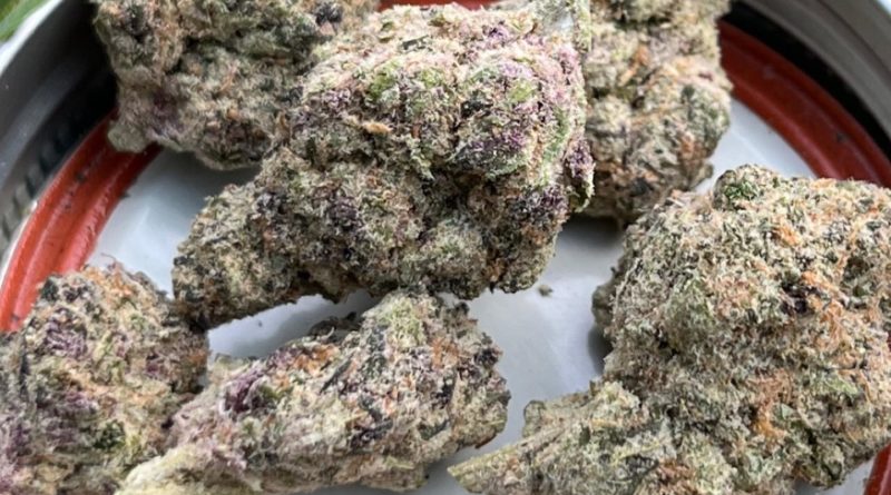 cherry breeze by in house genetics strain review by averagejoeweedreviewsnj (2)