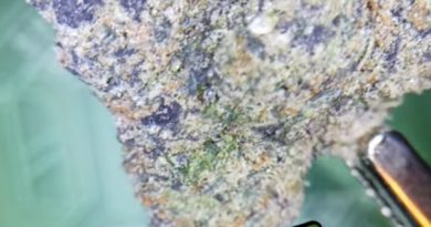 coffin queen by planta strain review by stoneybearreviews