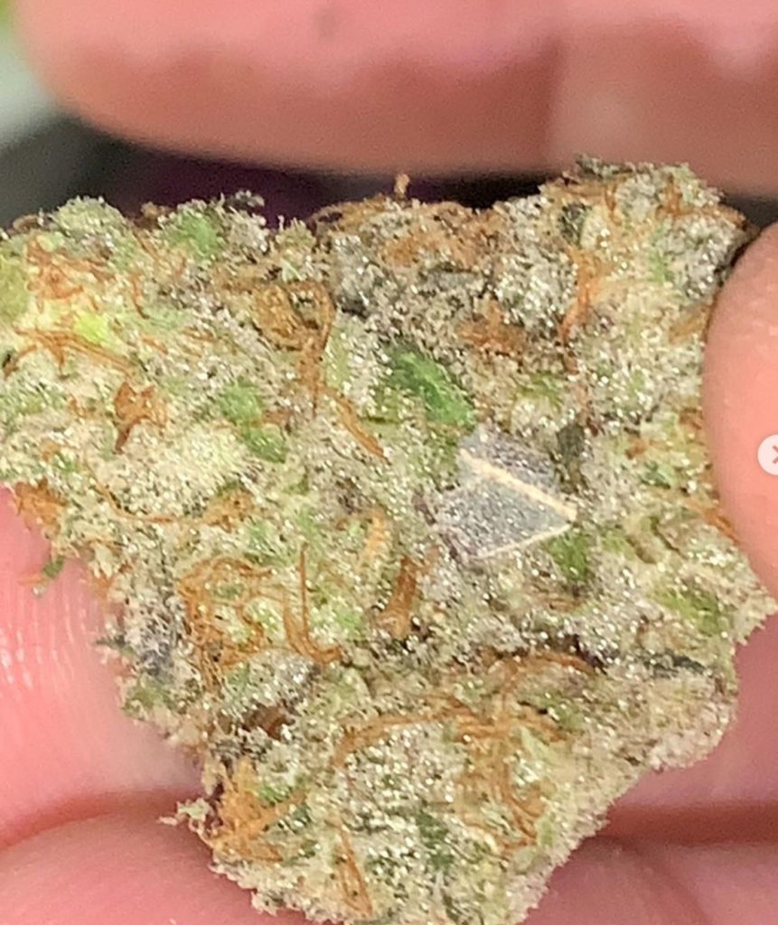 doppelganger by fig farms strain review by reviews_by_jude 2