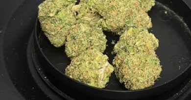 double z by frose genetics x corillo budz strain review by averagejoeweedreviewsnj