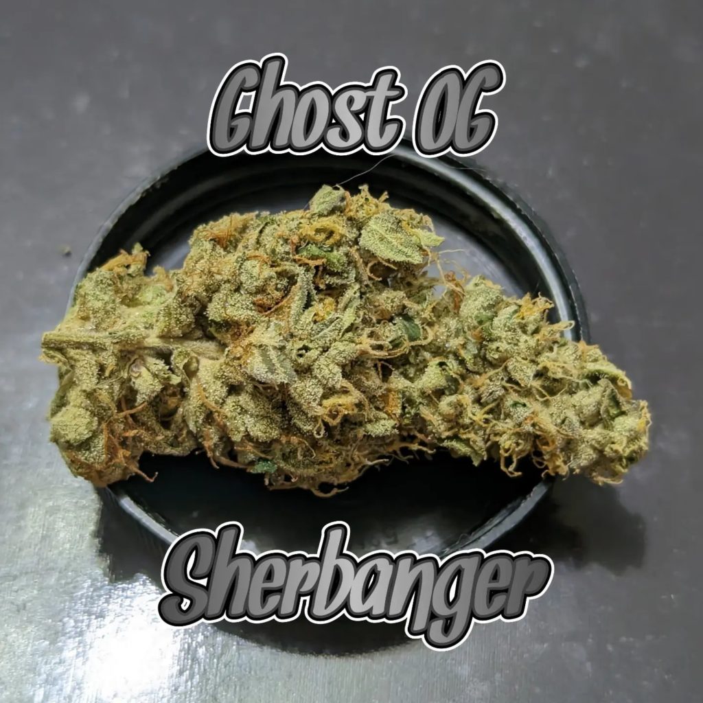 ghost og x sherbanger by dialed in farms strain review by njmmjguy