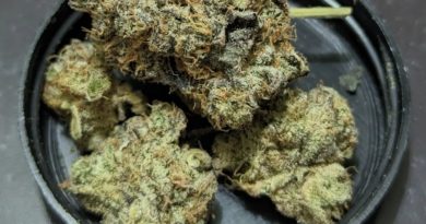 kush dough by undertow dispensary strain review by njmmjguy