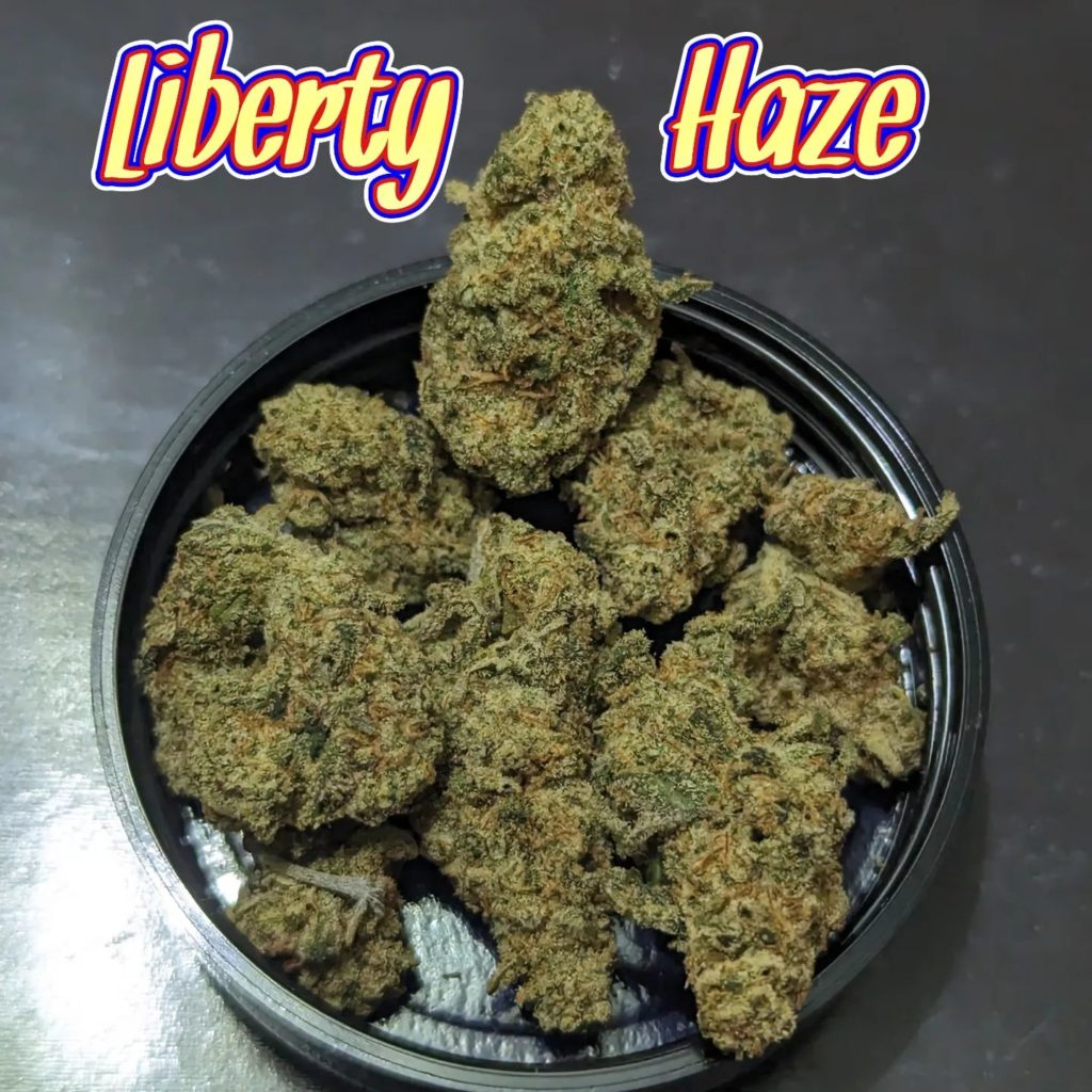 liberty haze by the tenco strain review by njmmjguy