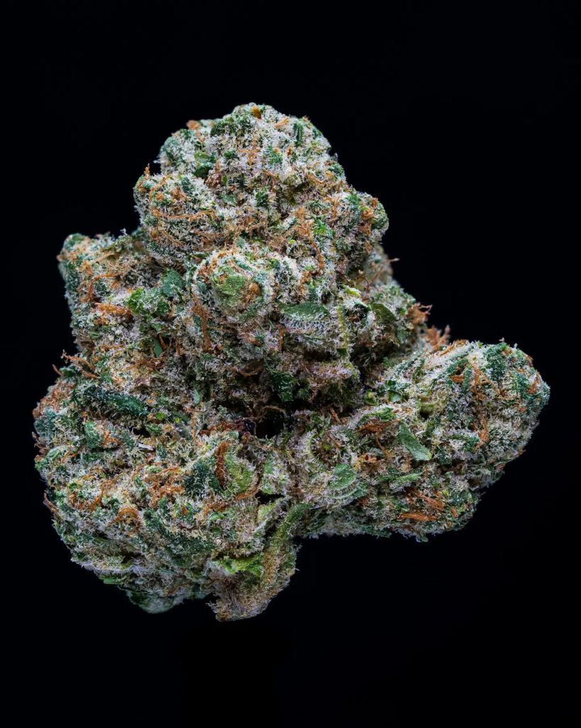 ozk #3 by top shelf genetics uk strain review by thebudstudio