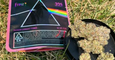 pink zloyd by frose genetics x 325 pharms strain review by averagejoeweedreviewsnj