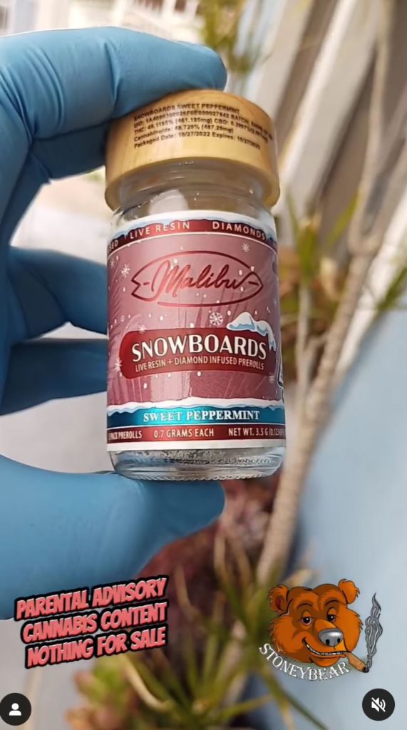 snowboards infused prerolls by taste of malibu preroll review by stoneybearreviews