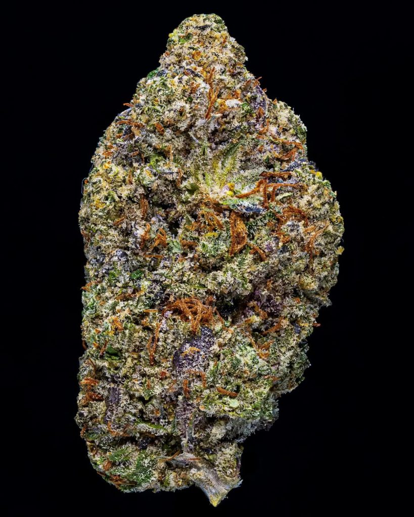 sour power og by mr opax strain review by thebudstudio 2