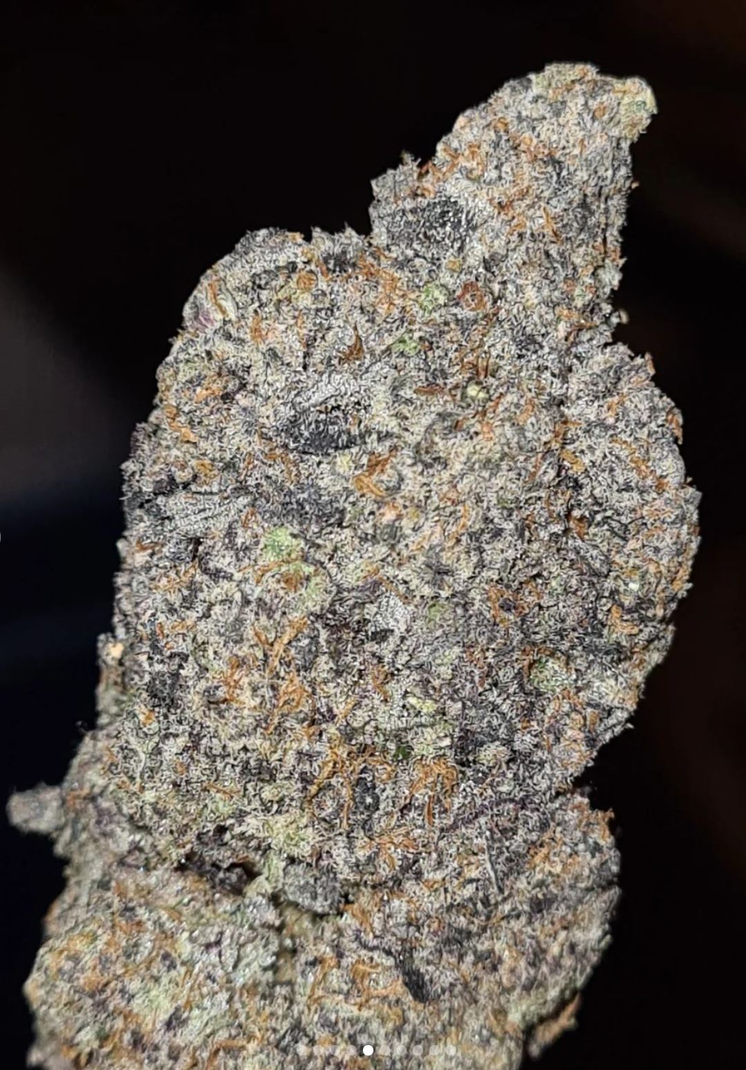 Strain Review Sticky Ricky by Grandiflora The Highest Critic