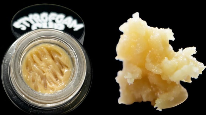 styrofoam cup rosin by team elite genetics hash review by bccalibudreviews 2