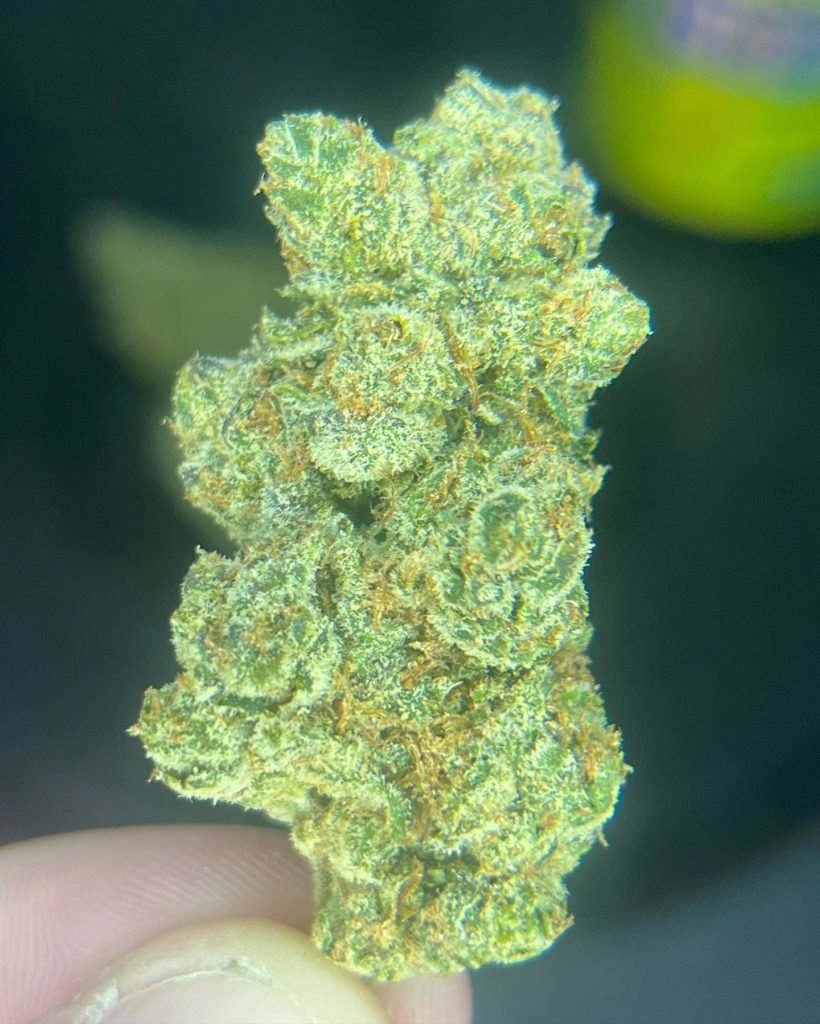 the original lemonhead by high regards strain review by averagejoeweedreviewsnj 2