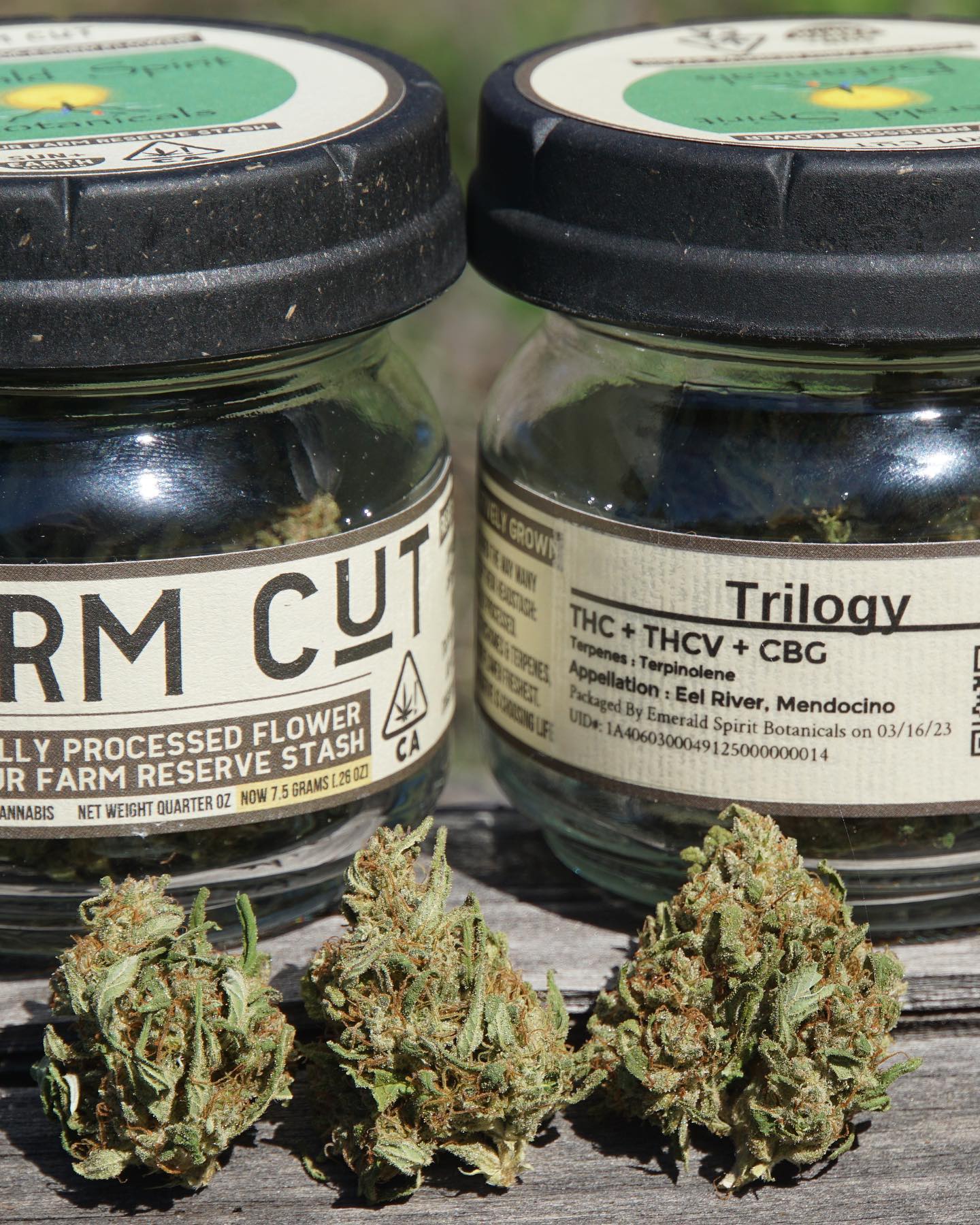 Emerald Spirit Botanicals Introduces Trilogy Cultivar With THC, THCV ...